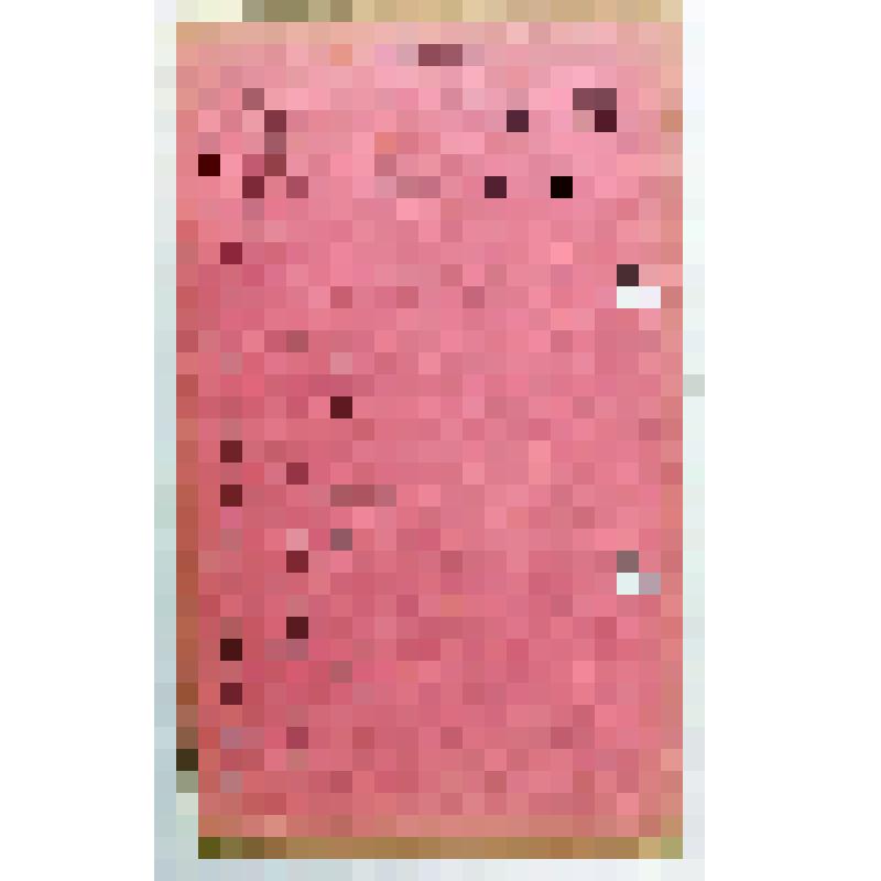 Лист с библиографической записью работы Н.А. Ортона Вавилова Н.И., сотрудника кафедры частного земледелия Московского сельскохозяйственного института