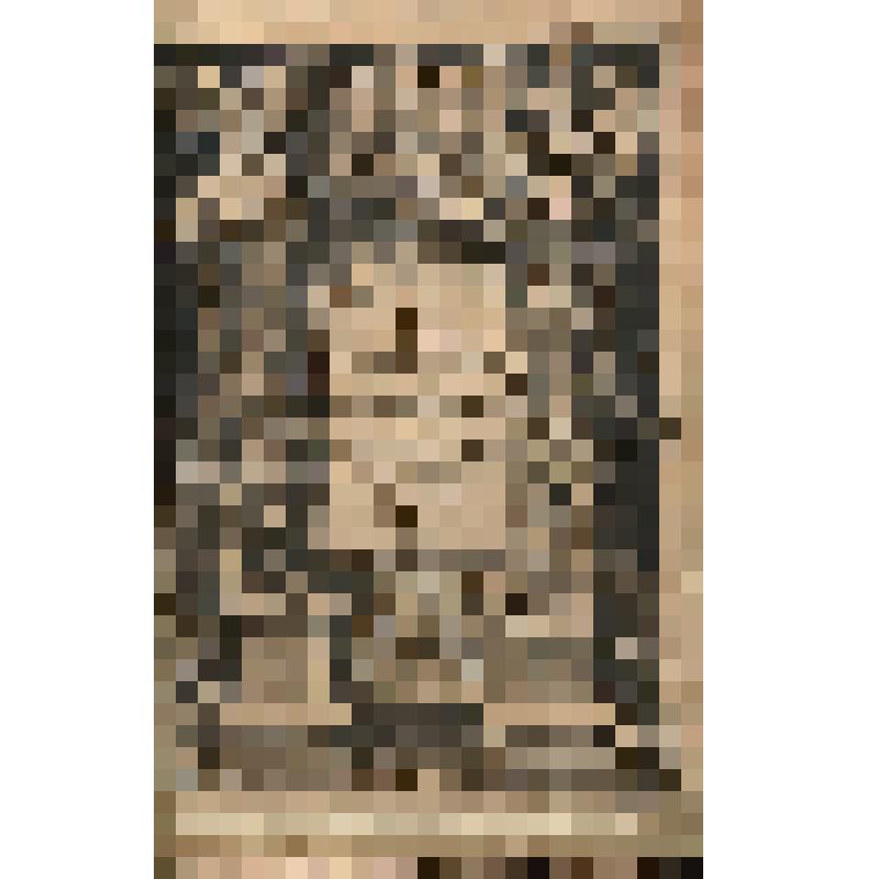 Книга. Sylloge numismatum elegantiorum, quae diversi impp., reges, principes, comites, respublicae, diversas ob causas ab anno 1500 ad annum usq.1600 cudi fecerunt