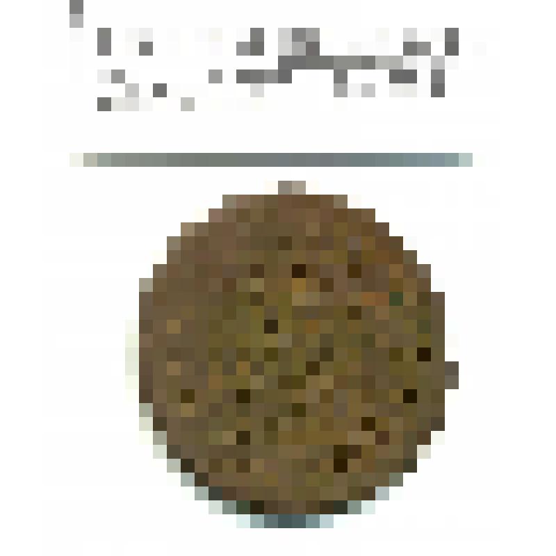 Монета. Денга 1737 года, Россия