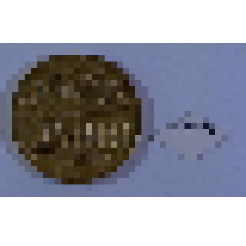 МЕДАЛЬ СУВЕНИРНАЯ. XXIII СЪЕЗД КОММУНИСТИЧЕСКОЙ ПАРТИИ СОВЕТСКОГО СОЮЗА. МОСКВА-1966. "ПАРТИЯ СУЩЕСТВУЕТ ДЛЯ НАРОДА, В СЛУЖЕНИИ ЕМУ ВИДИТ СМЫСЛ СВОЕЙ ДЕЯТЕЛЬНОСТИ". ПРОГРАММА КПСС