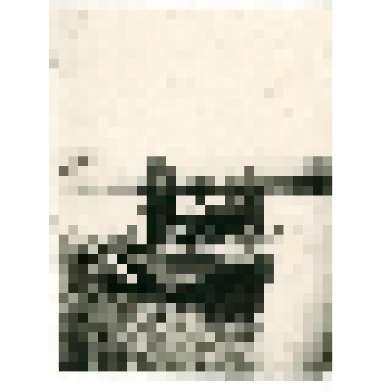 Фотокопия. Экспедиция инженера В.Е. Попова по изысканию Аяно-Нельканского тракта