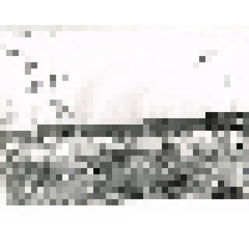 Фотография чёрно-белая. Вахтовый посёлок КЛПХ "Заря"