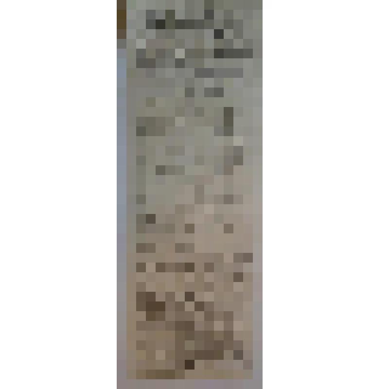 Программа. "Бокаччио". Астрахань, Большой театр Н.И. Плотникова; Антреприза, Труппа артистов под управлением П.М. Медведева