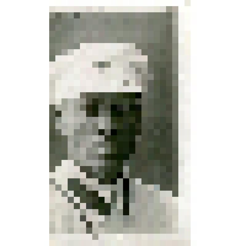 Георгий Викторович Ефремов, участник Гражданской войны, в летней военной форме Красной Армии