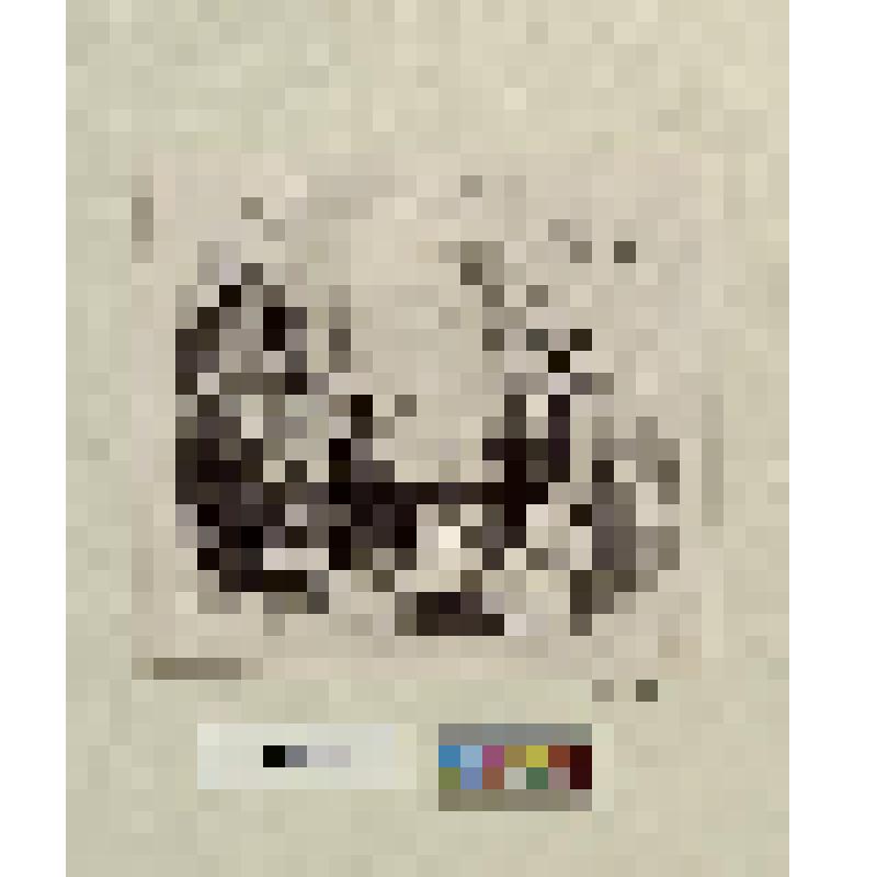 Перед дымящейся кострюлей с видом знатока стоит старик, справа - в выжидательной позе - повар с крышкой в левой руке