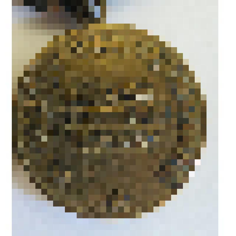 Медаль "За победу над Германией" Шамраева И.А