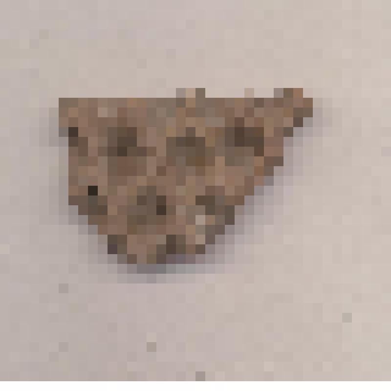 Фрагмент сосуда