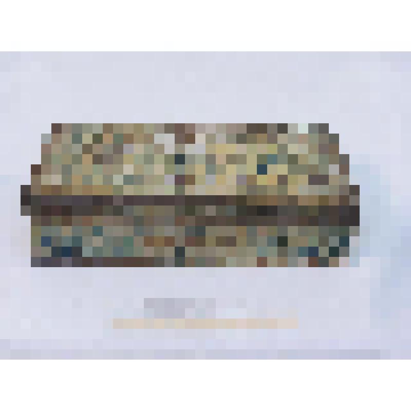 Коробка жестяная прямоугольной формы с откидной крышкой, из-под продукции Товарищества паровой фабрики ''Эйнемъ''. Москва. Надписи на русском и французском языках. Расписана стилизованными цветочными мотивами