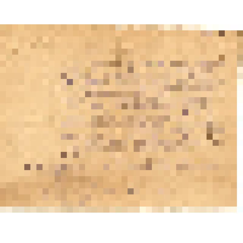 Характеристика от 27 июня 1944 г., выданная Советову С.Е. Пушкинским Райздравотделом, для представления к награждению медалью "За оборону Москвы"