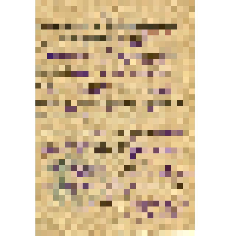 Удостоверение об отсрочке от призыва по мобилизации