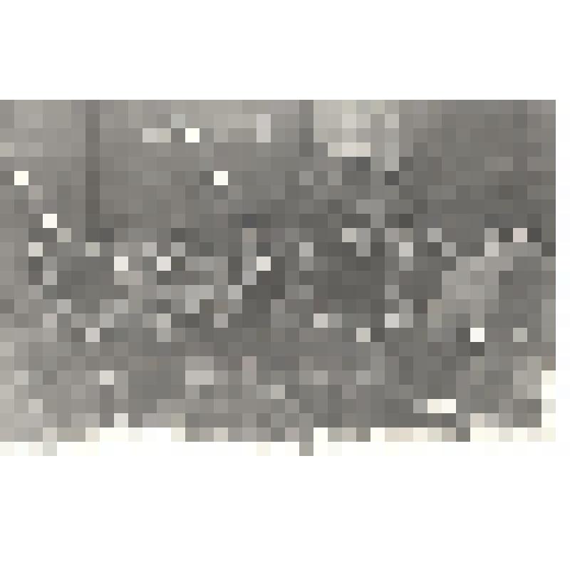 Фото. На загородной учебной базе ВСШ МВД СССР после доставки ж/д вагона