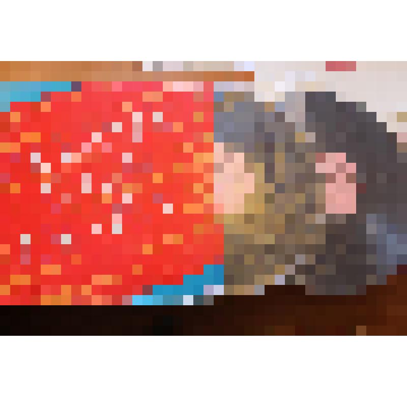 Грампластинка. Любимые песни Ильича. "Ревела буря, гром гремел" и др. композиции. 1980 г