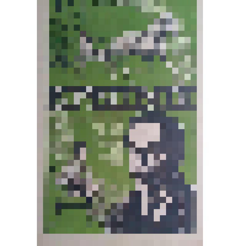 плакат. Фильм: Крепыш. 1981