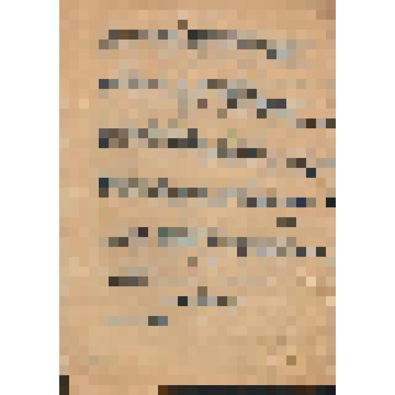 Документ. Справка-отзыв Тронина Андрея Васильевича о Чиркове Семене Федоровиче. СССР, УАССР, Г. Ижевск. 15.07.1966 г