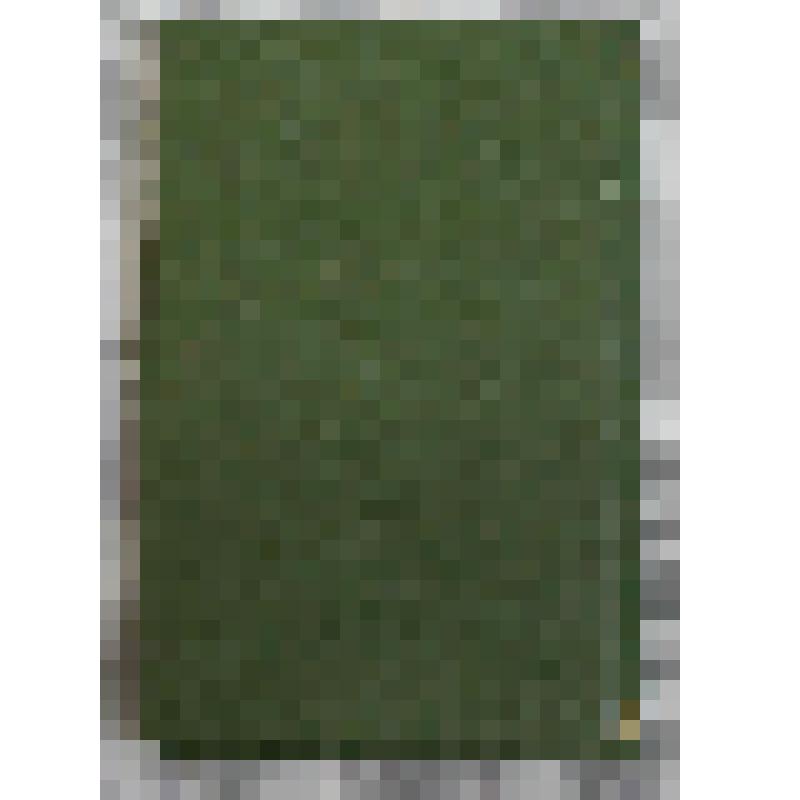 Книга. Антропология / Издание Ф. Павленкова. Под редакцией Р.И. Сементковского. - Перевод с польского С.Д. Романовского-Романько. - СПб.: Тип. А. Поровщикова, 1896. - 360 с