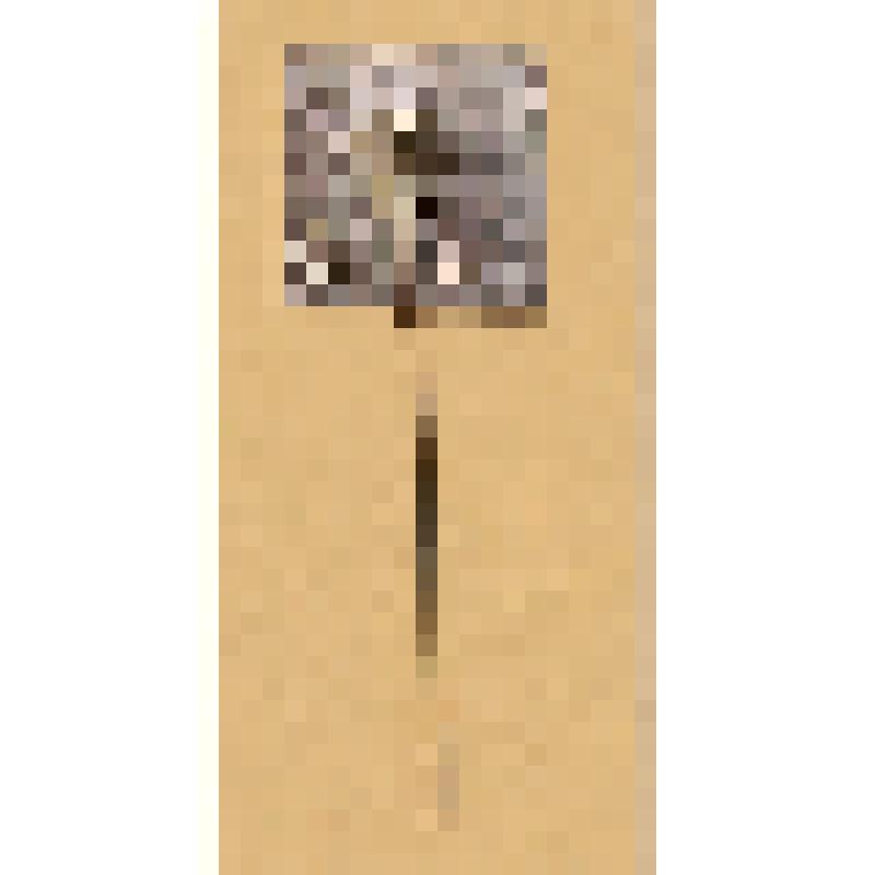 Значок "Ленинград"