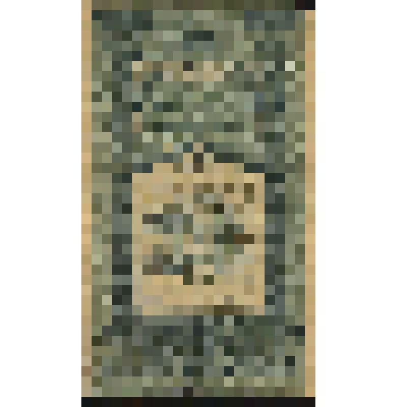 Временный кредитный билет Туркестанского края