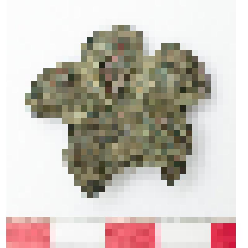Бляшка