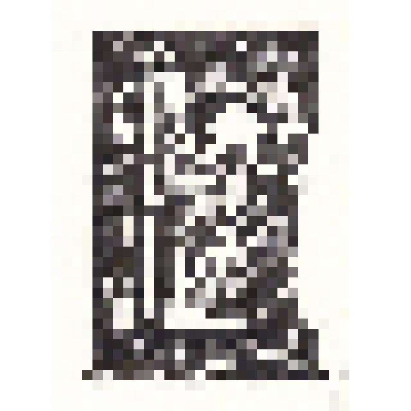 Экслибрис "Ex Libris Блохинцева"