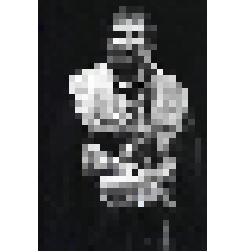 Негатив черно-белый. Басманов - И.И.Васильев. "Борис Годунов" (1994 г.)