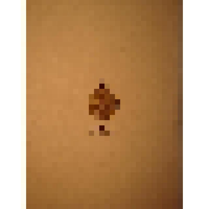 Жетон с изображением Л.Н.Толстого