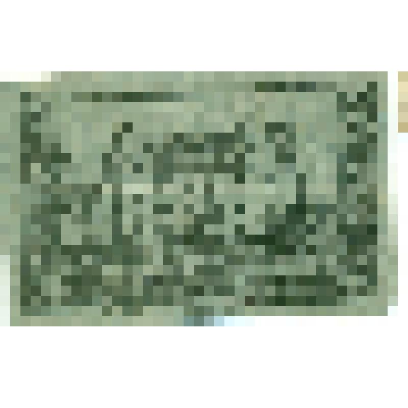 Бумажный денежный знак 10 пфеннигов 1920 года, Дармштадт
