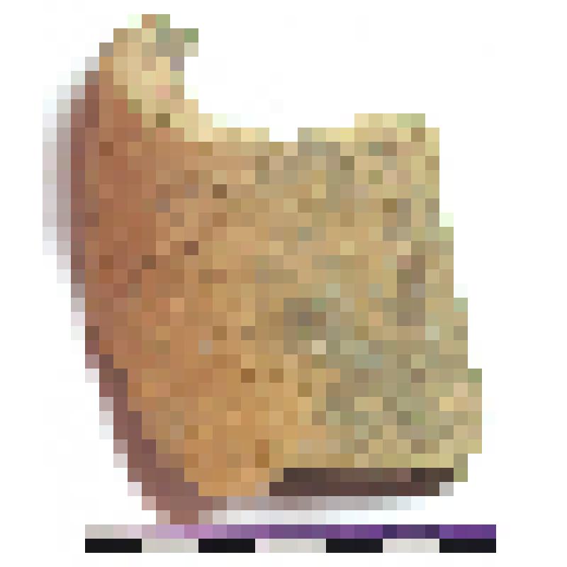 Фрагмент средней части горла амфоры типа D с дипинти