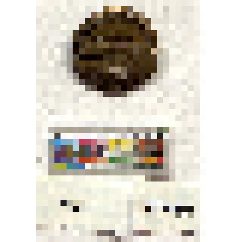 СССР. Памятный знак Ленинградского Монетного двора