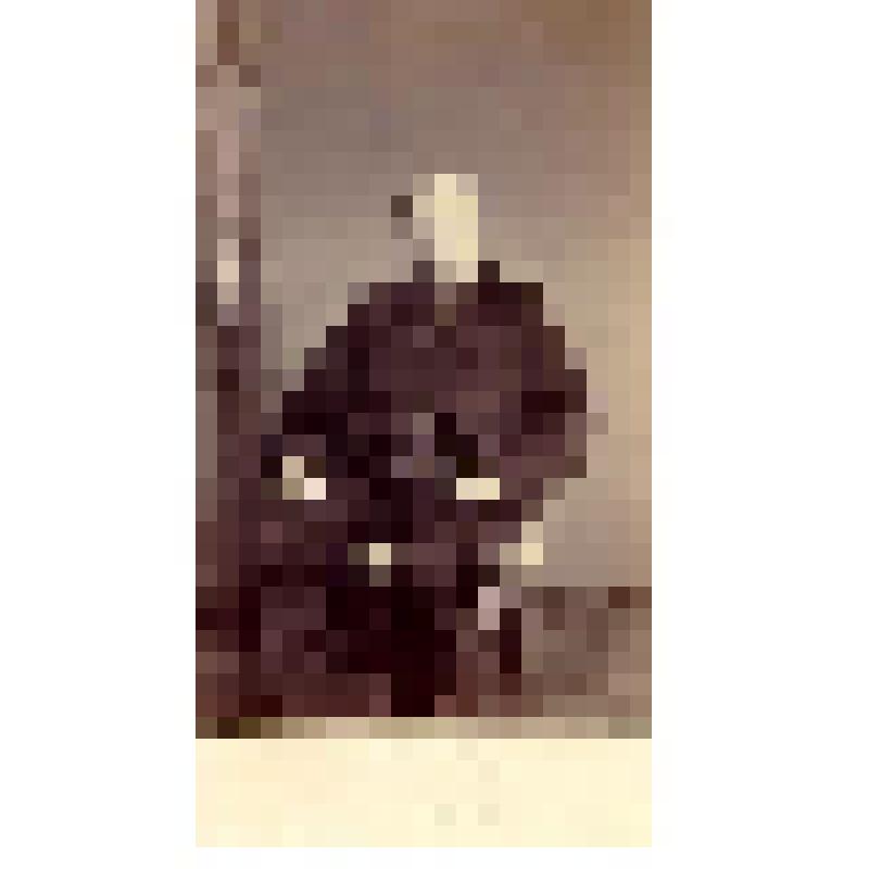 Фотография. Иокиш Василий Иванович