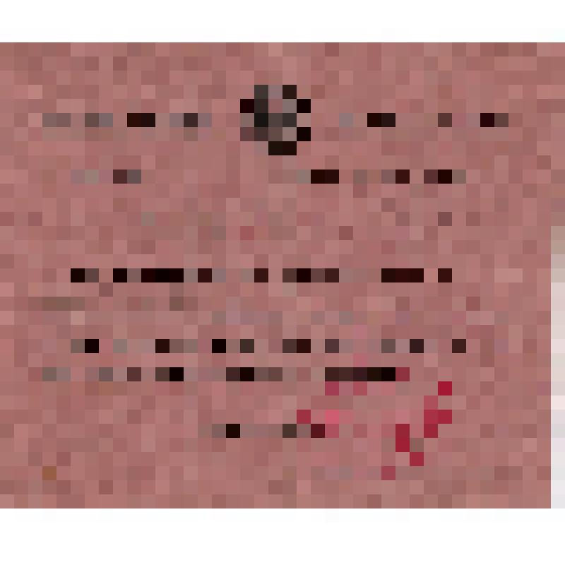 Фракционный билет N 223 Глускина М.Л., члена коммунистической фракции 7-го Всеукраинского съезда Советов (на украинском яз.)