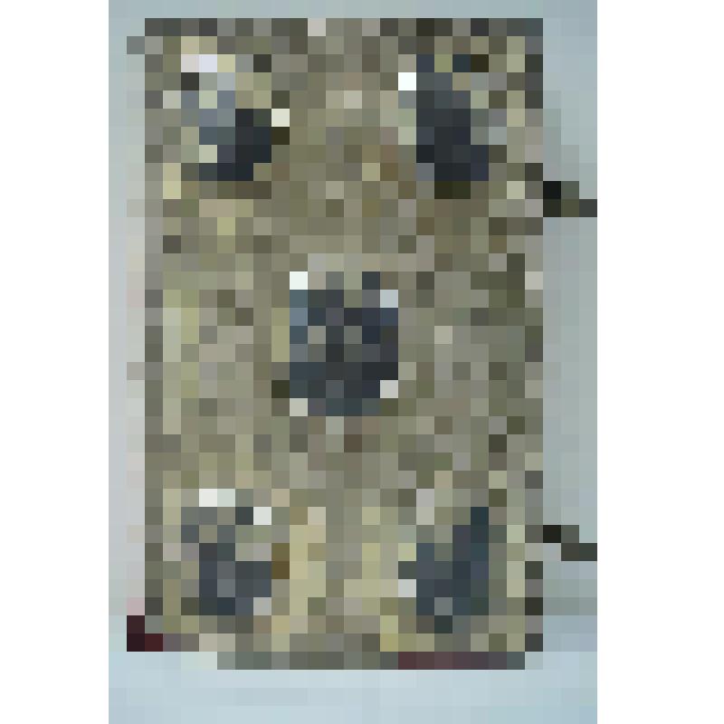 Книга старопечатная. Евангелие.  М., Печатный двор, 1796