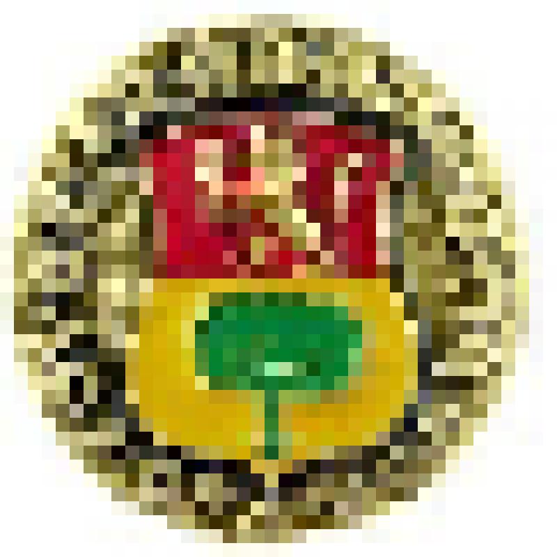 Значок. Вязники, на булавке. СССР