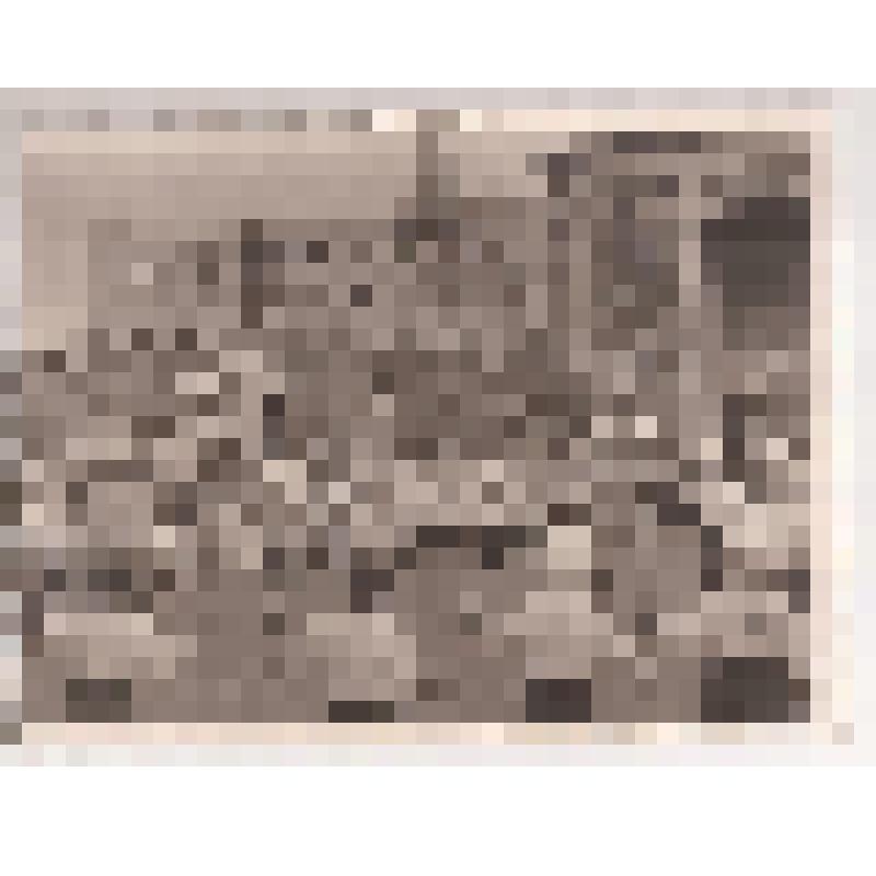 Фотография. Детский сад