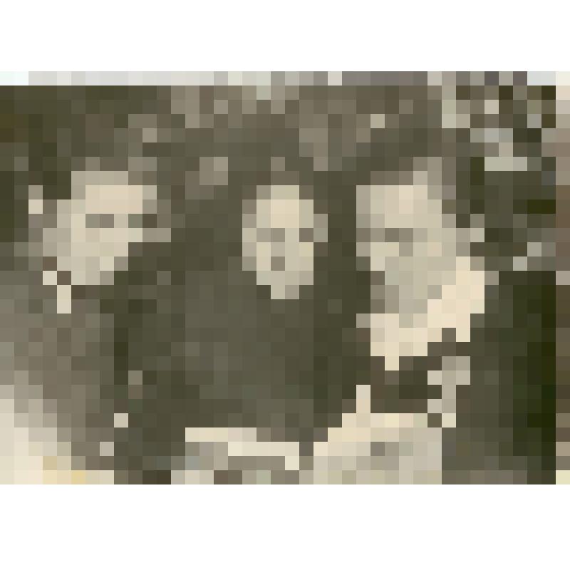 Фотография. Радина Вера Федоровна, бригадир полеводческой бригады колхоза «Большевик», с членами бригады в библиотеке