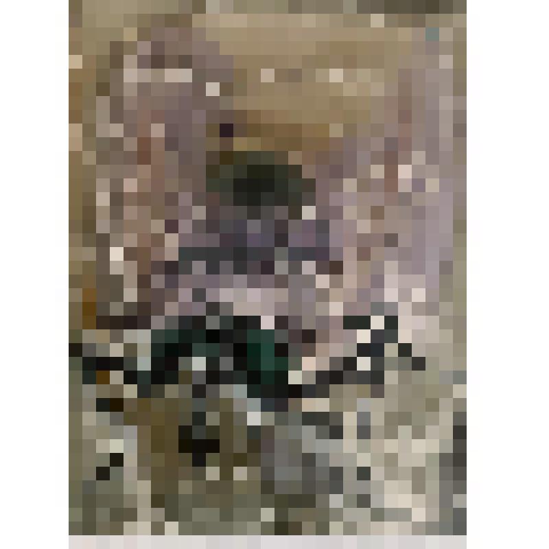 [Муха]. Графическая работа