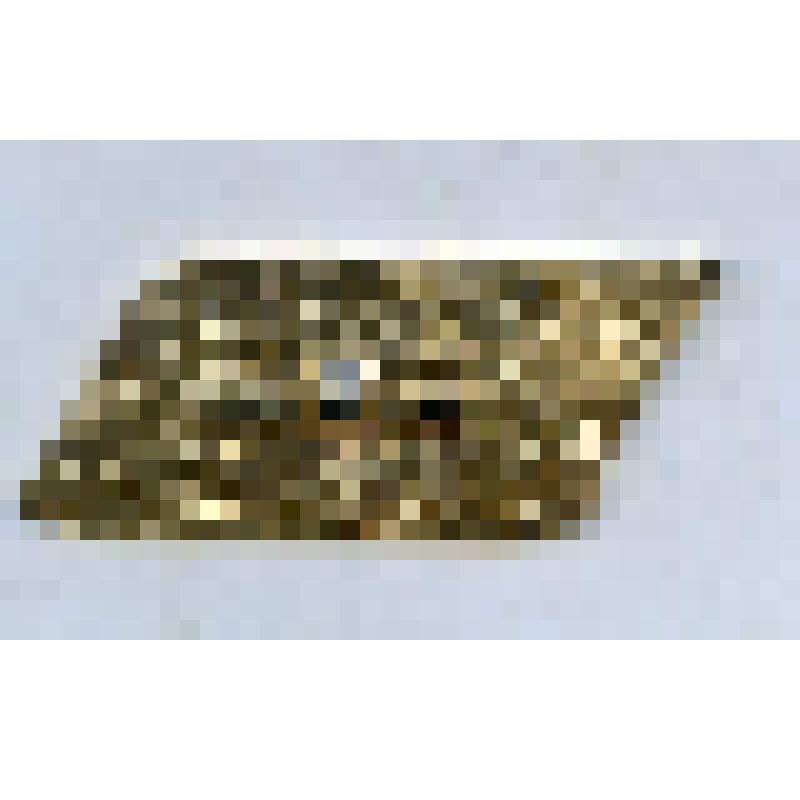 Значок "История почты России. Кибитка ХVII-XVIIIвв.". Из коллекции значков Самсоновой К.П