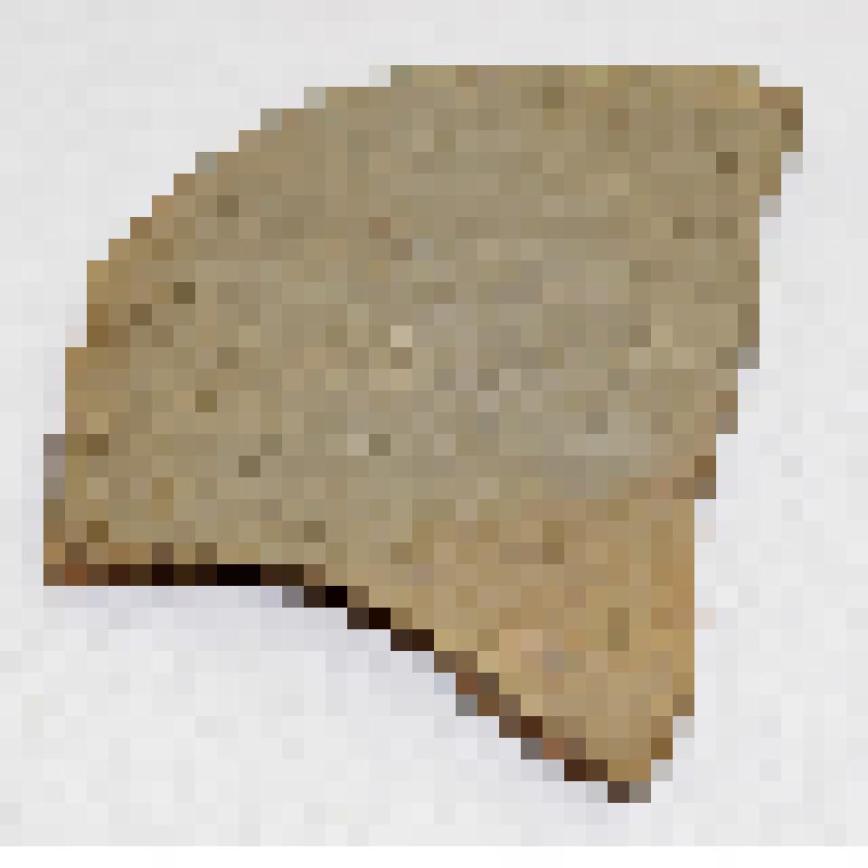 Фрагмент боковой стенки толстостенного лепного сосуда, неправильной формы, слегка выпуклый