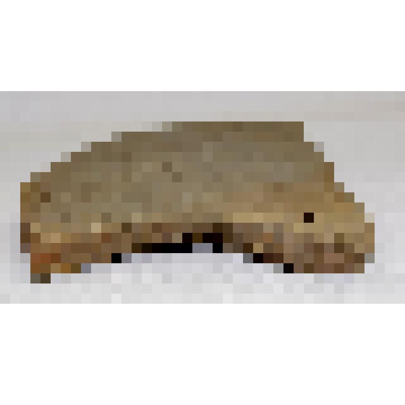 Фрагмент боковой стенки толстостенного лепного сосуда, неправильной формы, слегка выпуклый