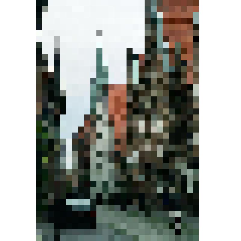 Фотоотпечаток. Улица старого города. Немцы