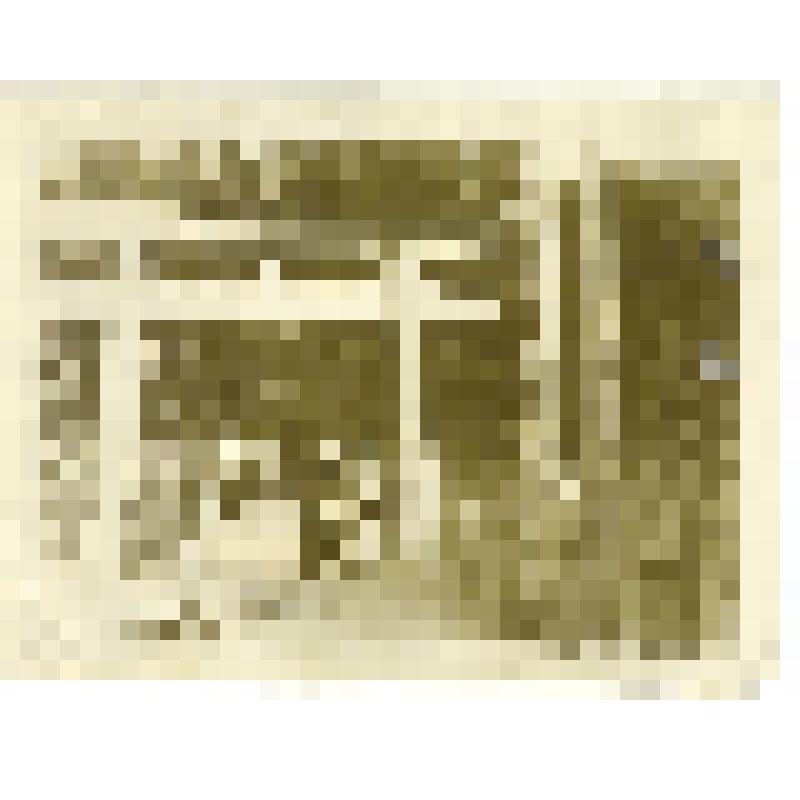 Фотография. Группа моряков-гидрографов в парке отдыха в г.Невельск