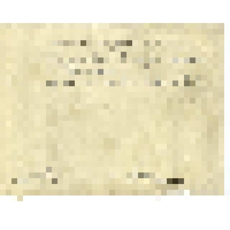 Фотография. Группа моряков-гидрографов в парке отдыха в г.Невельск