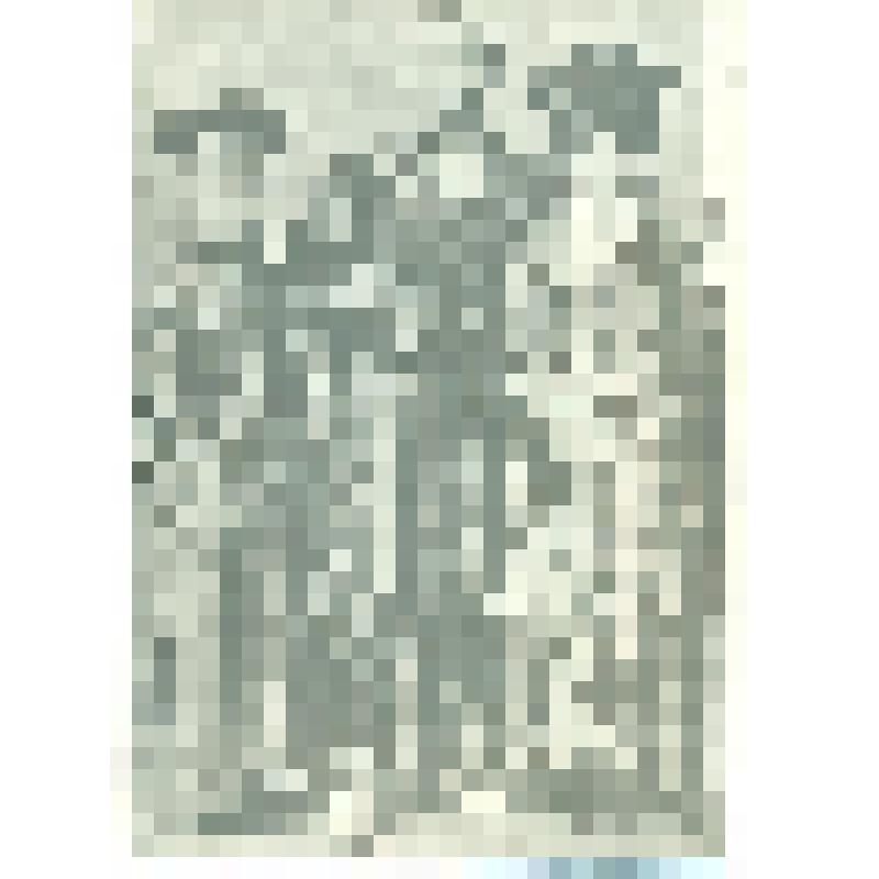 Фотокопия. Семья найона Серебджаба Тюменя с дочерью и женой Жаhой