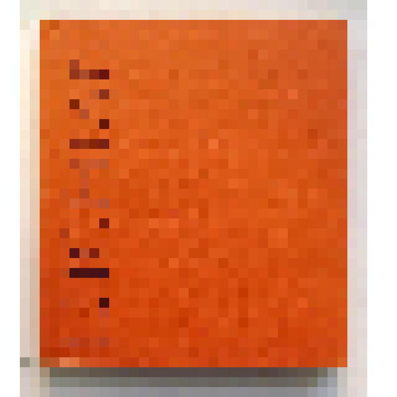 Книга. Stefan Luchian. – Bucuresti: Editura Meridiane, 1968