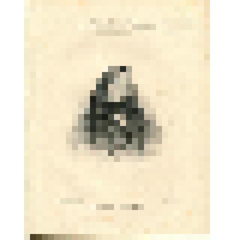 литография. Портрет Теофиля Готье (1811-1872)