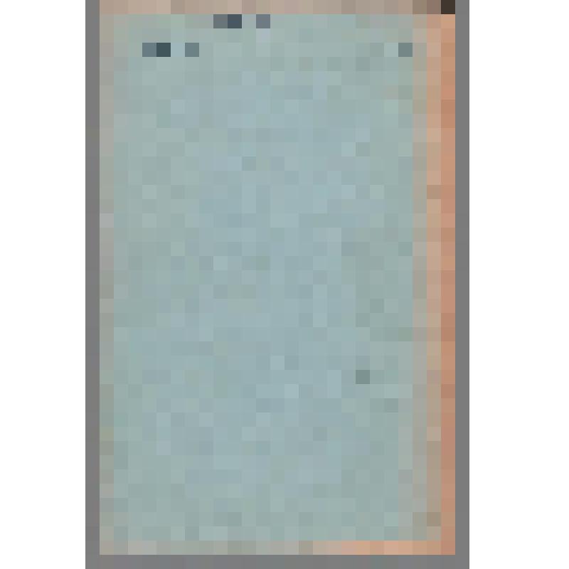 Журнал. Новый мир