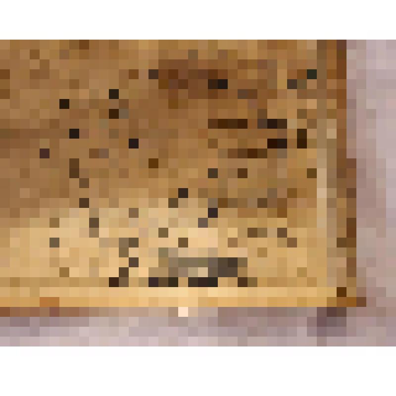 Предмет быта. Футляр (доска) для шахмат (Голубева Якова Григорьевича). Из комплекта: Шахматы фигуры, изготовленные из рогов лося