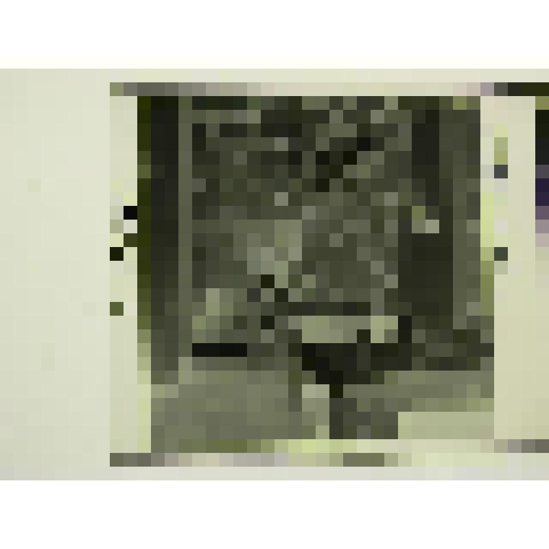 Ресторан "Дальний Восток". Хабаровский  край, г. Хабаровск. Ресторан "Дальний Восток". Интерьер. "Таежный зал". Общий вид