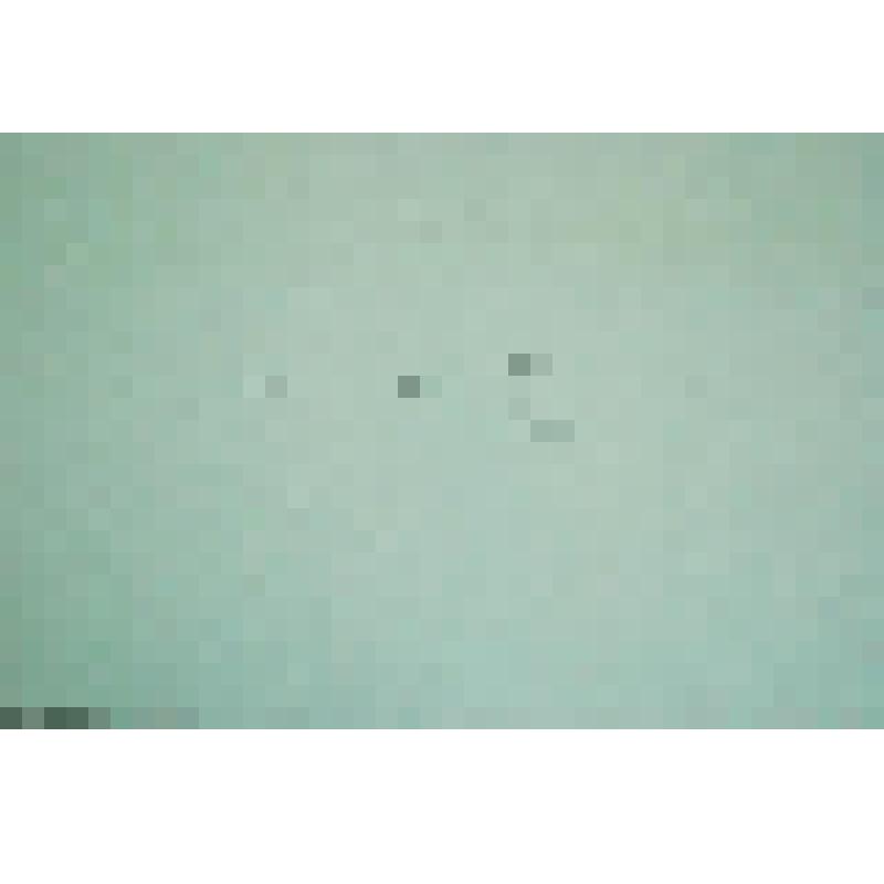 Большая рыба