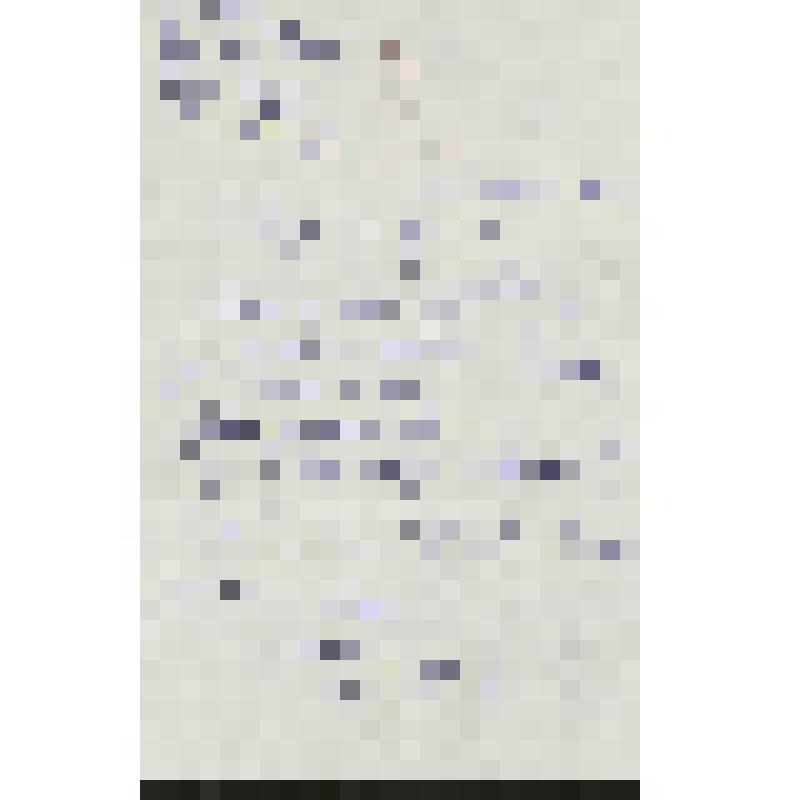 Письмо. Письмо к Жарову С. А. Спрашивает, нужен ли он в хоре. Упоминается Кострюков. На бланке отеля
 (
























































































































)