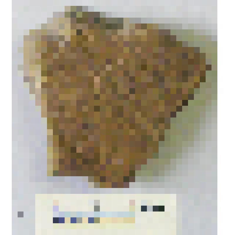 Фрагмент тулова сосуда